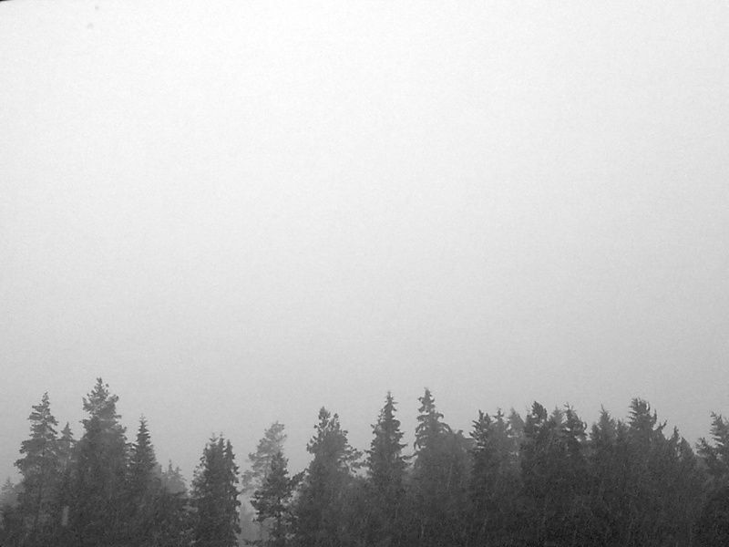 Tsyamnee gezackten Rand von Bor ...