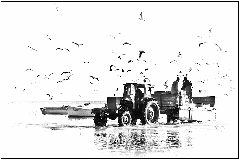 Nach dem Fischen ...