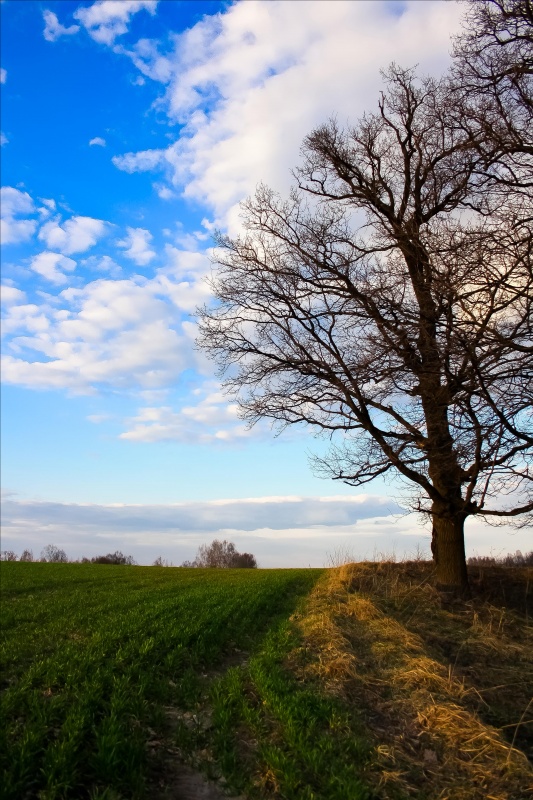 3 htsvetny Landschaft