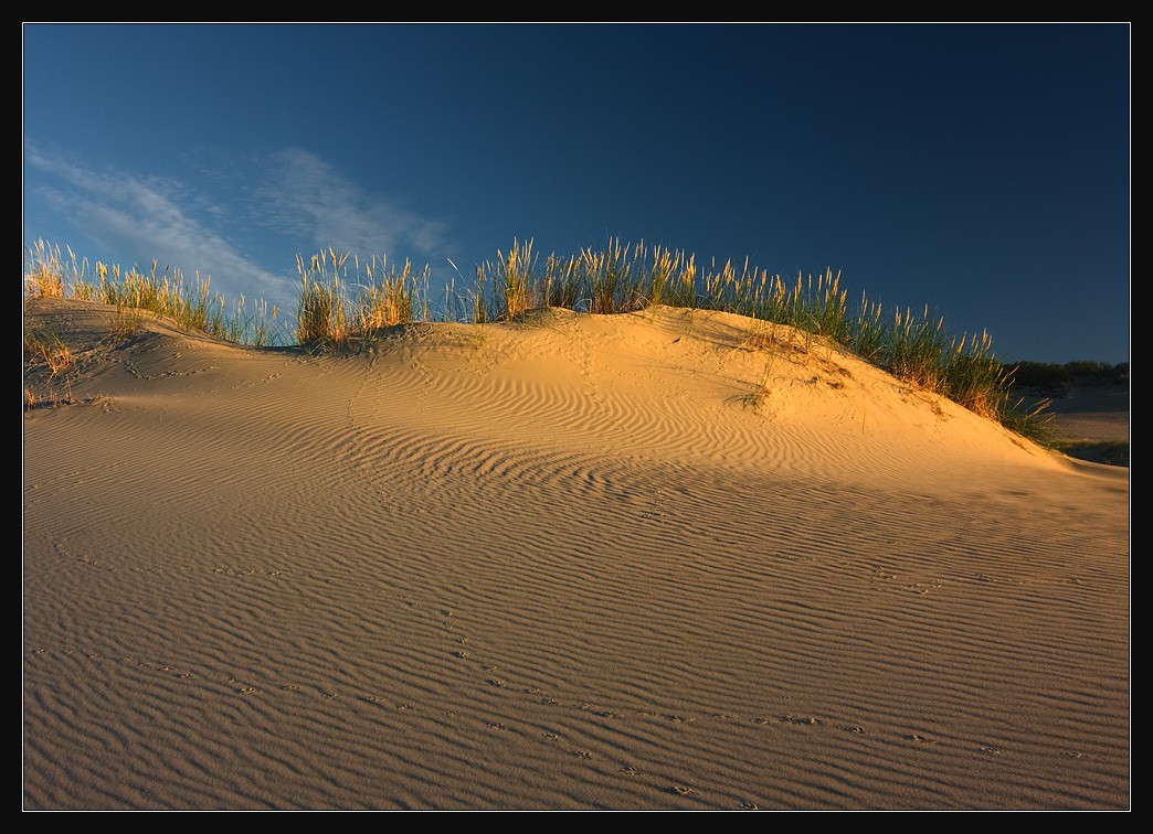 Welt Dune IV