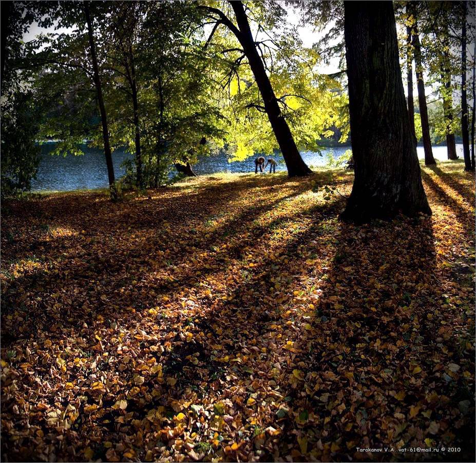 ÜBER DAS LIED FALL TOY ...