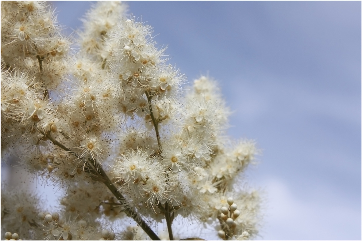 Mit Zärtlichkeit ...