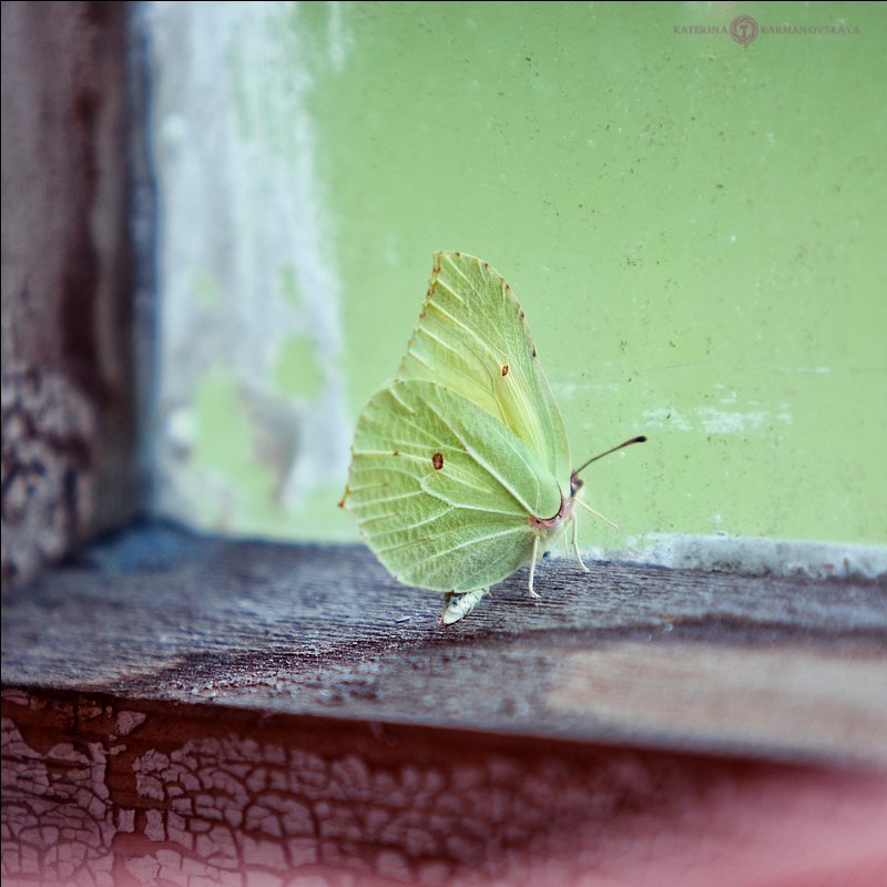 solitary confinement