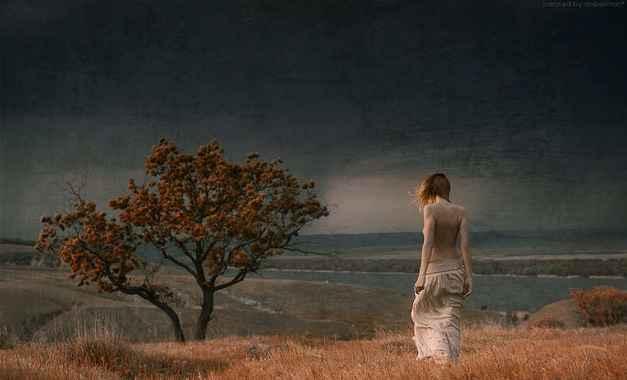 What Dreams May Come