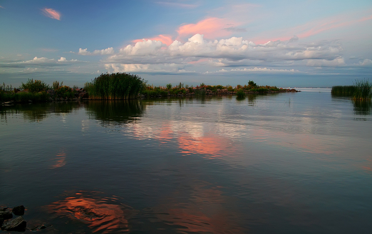 Melody White Night ...