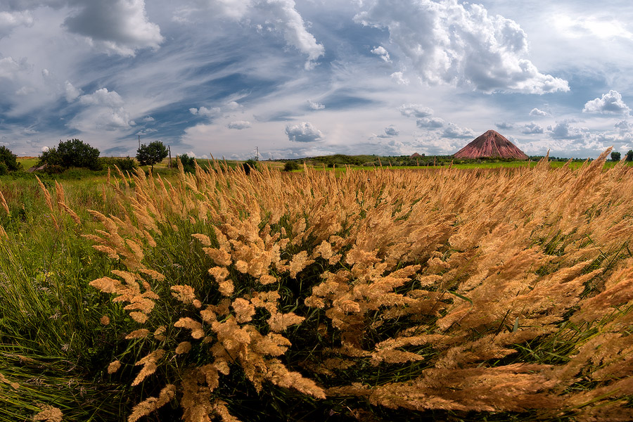 Wo das Gras auf einem Band