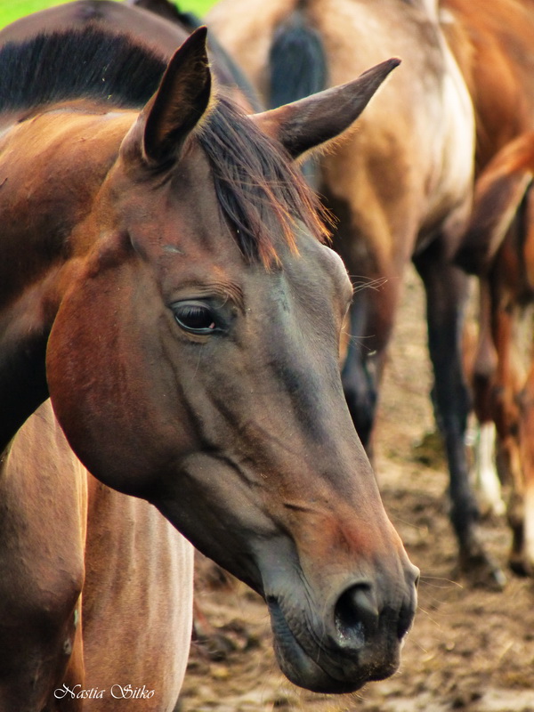 ........beautiful....