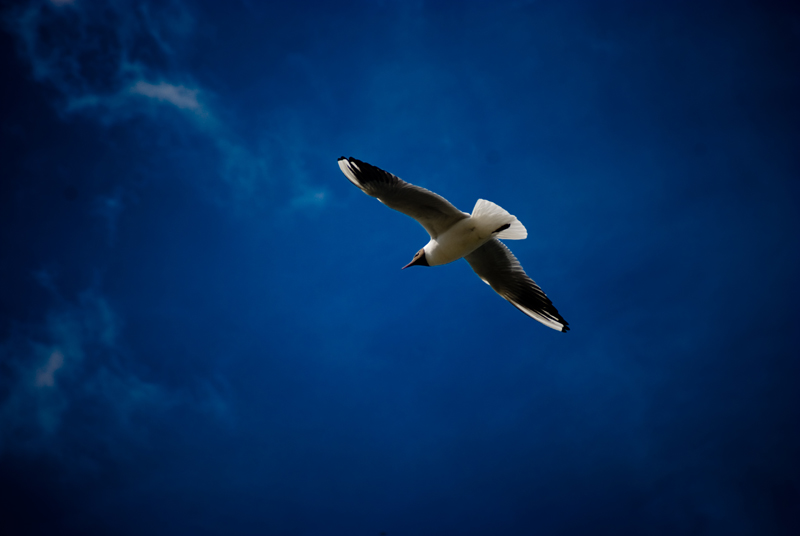 Fliegen in einem Gewitter