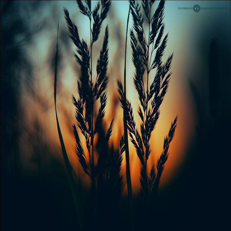 Irgendwo Morgen brennt ..