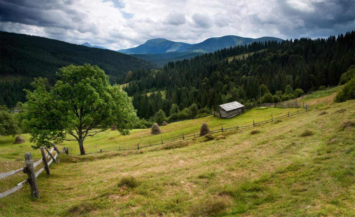 Landschaft im ländlichen Raum