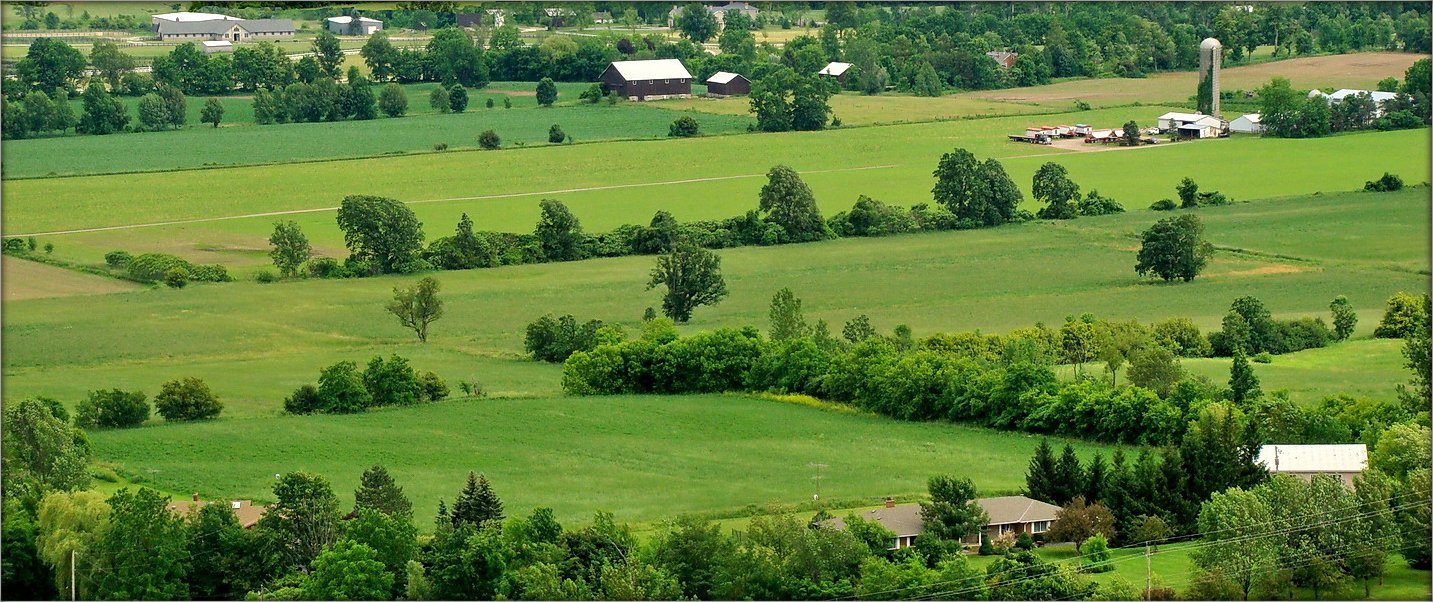 Bauern Perspektive .. 3