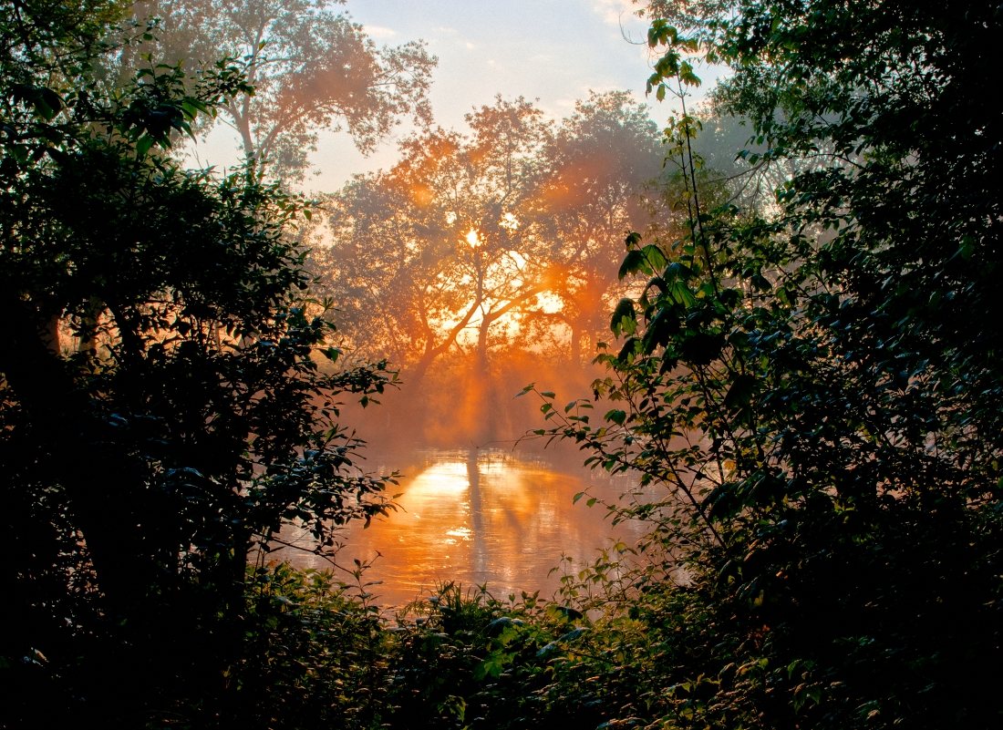 Morgen auf Svislochi 2