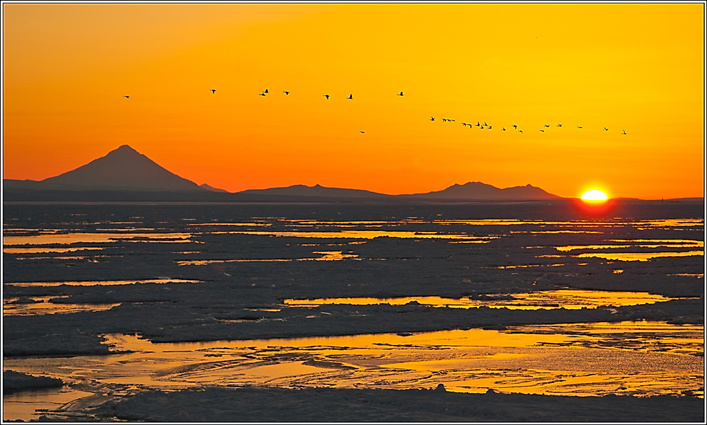 Guten Morgen Sonnenschein ...