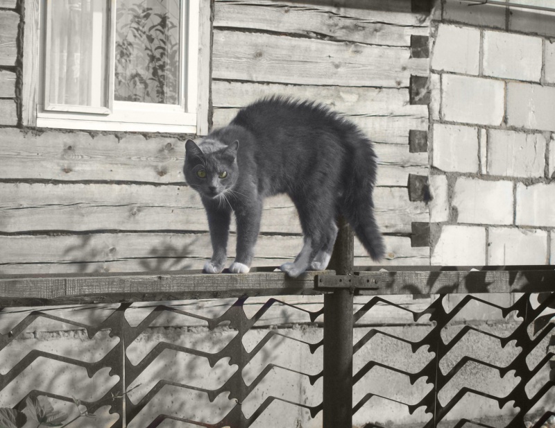 Eine ungewöhnliche Dunst