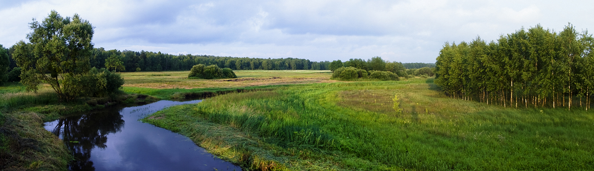 Blick von der Brücke