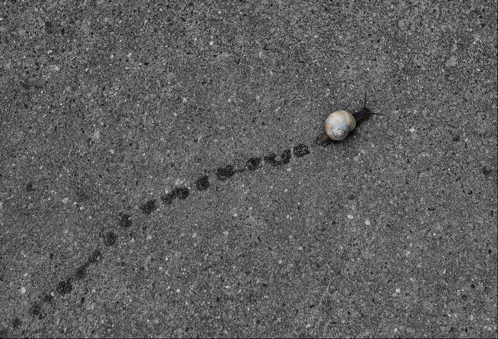 wurzelt in dem Sinn des Lebens