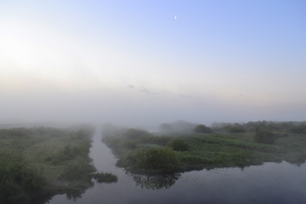 Nebel über dem Fluss.