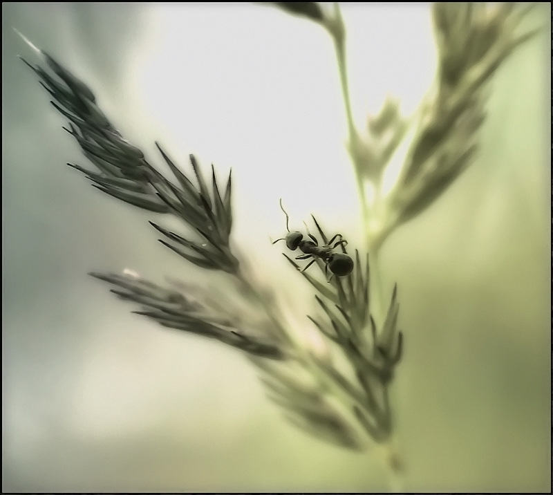 Näher an der Sonne ...