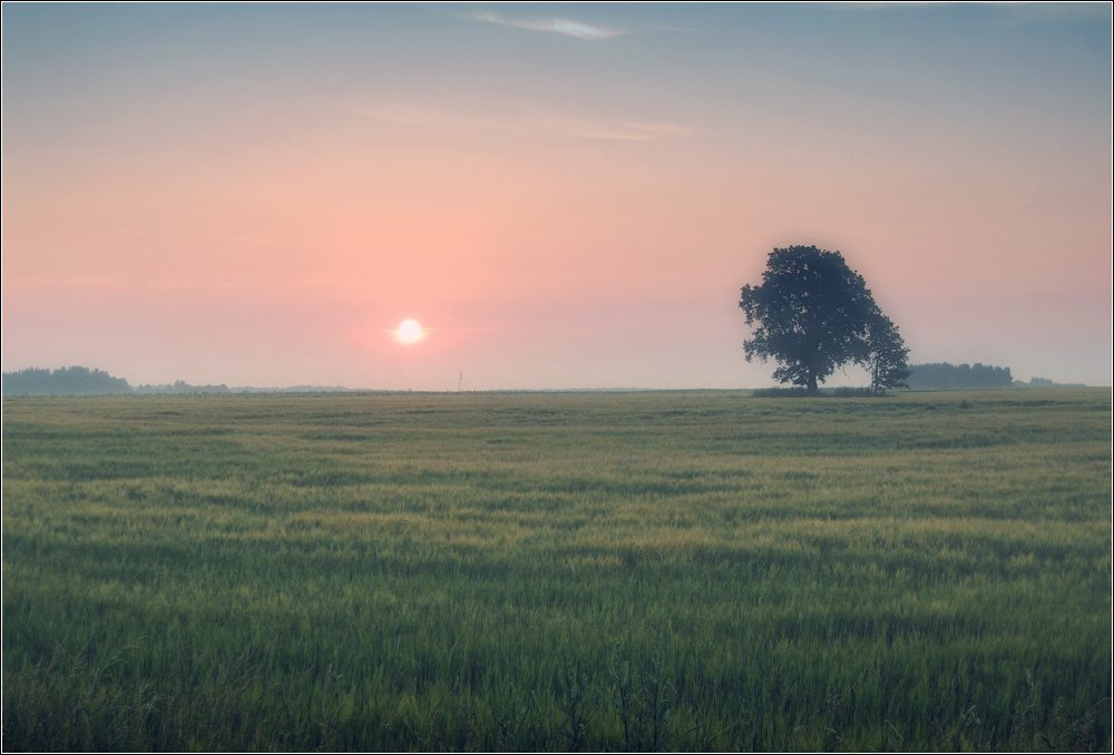 und wieder über Morgengrauen ...