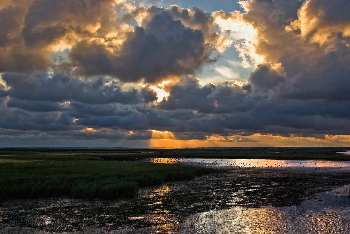 Evening in den Mündungen des Asowschen