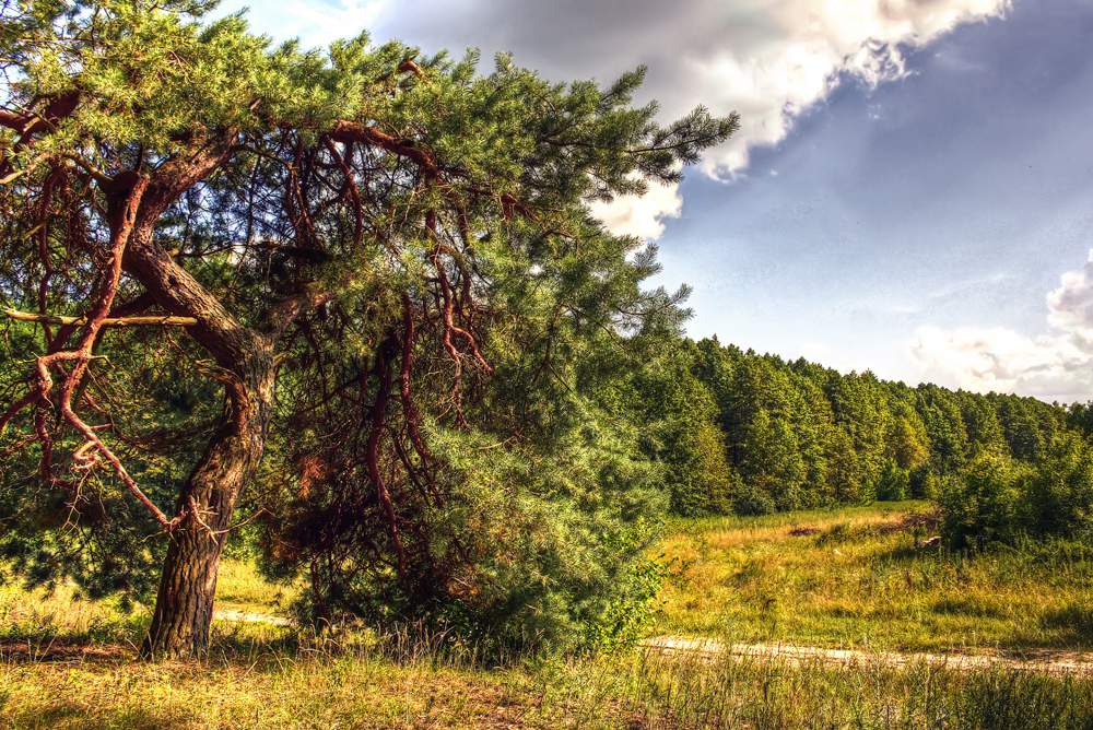 Beleidigt durch die Natur