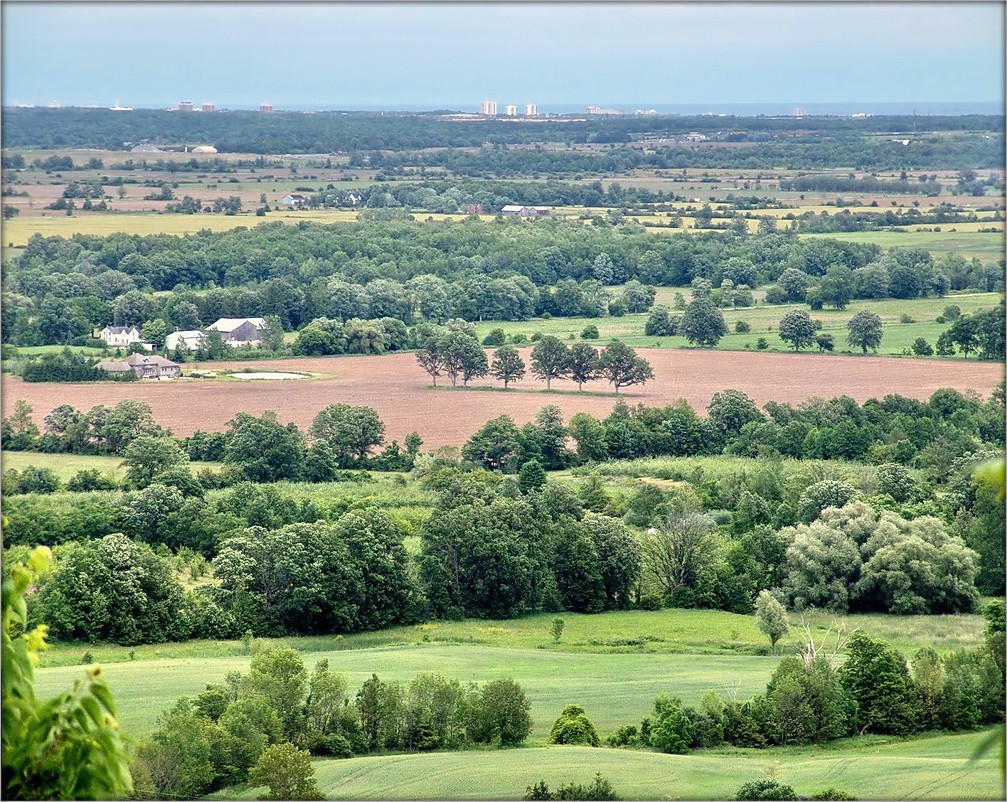 Bauern Perspektive .. 8