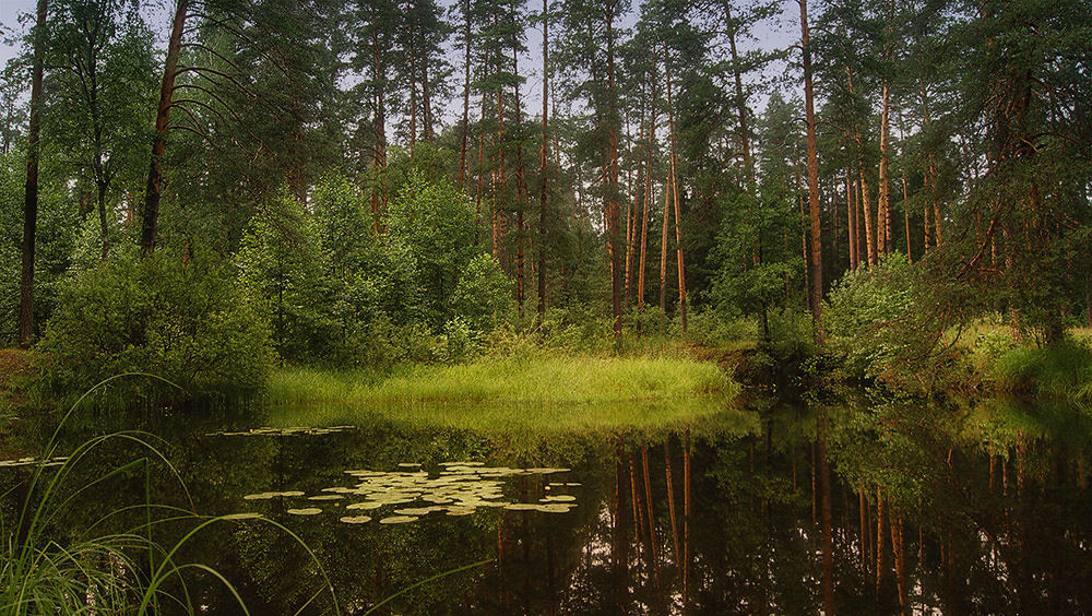 Muhtolovskie Skizzen