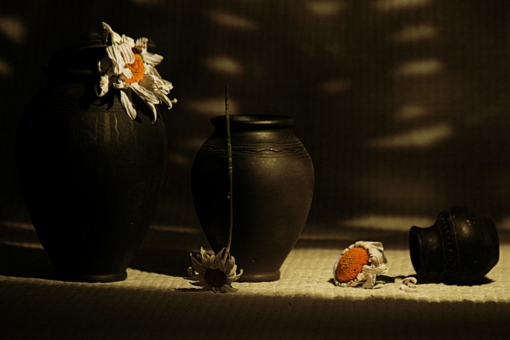 Flucht Gänseblümchen.