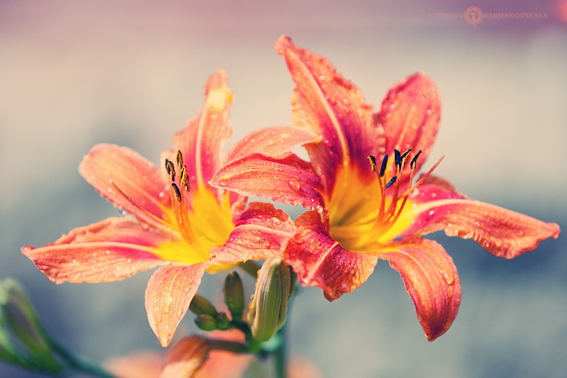 Wir sind für die dritte warten ..