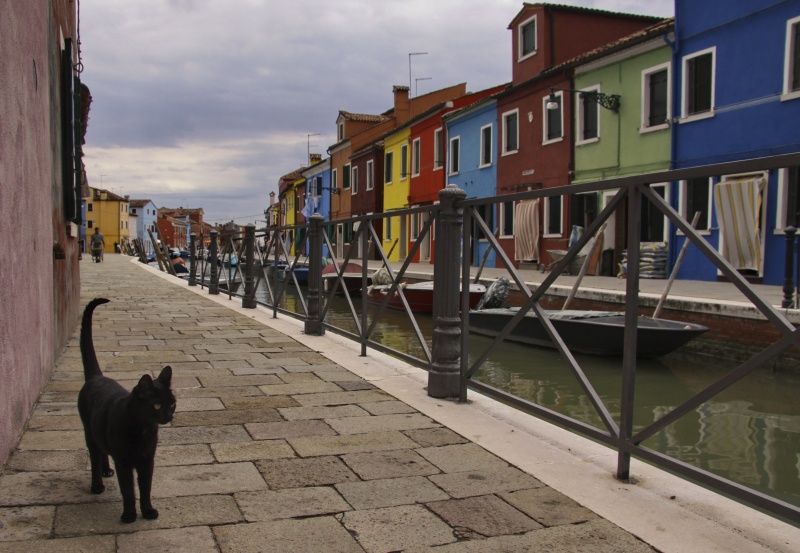 Venedig Insel Burano