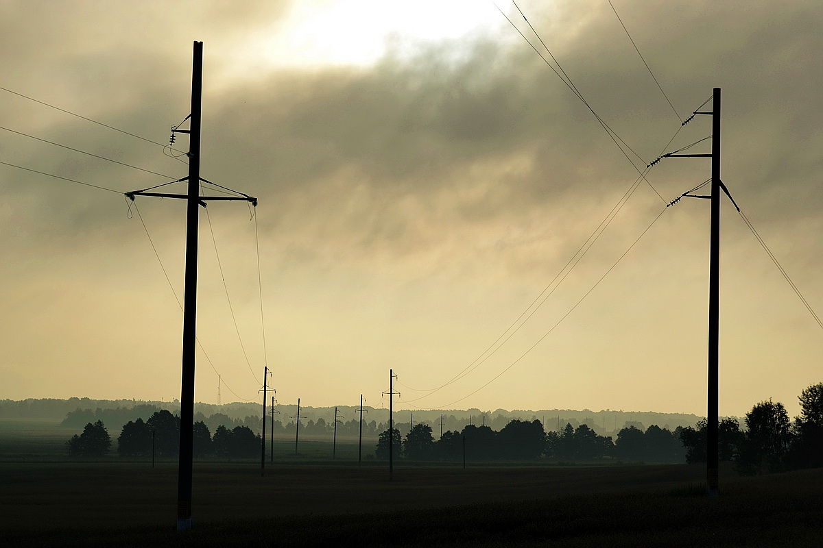 elektrifiziert Morgen