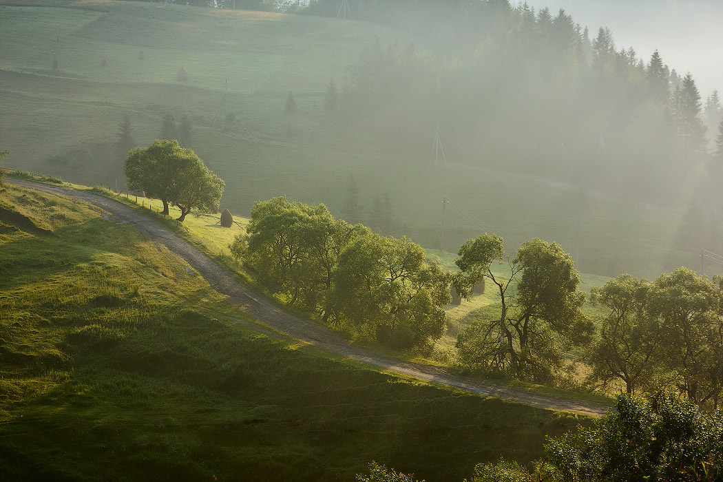 Am Morgen der Karpaten