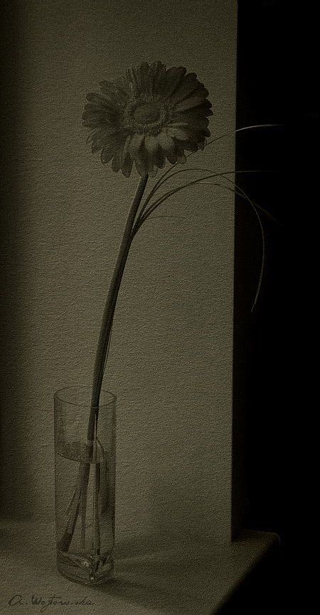 Im Licht einer Kerze ...