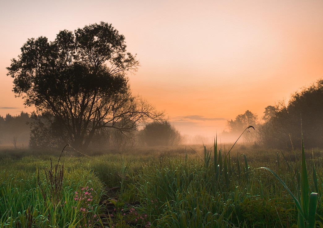 Und brennen die silberne Tau ...