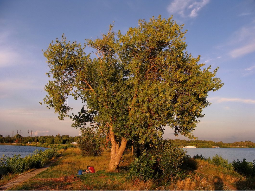 Auf einer schmalen Gasse.