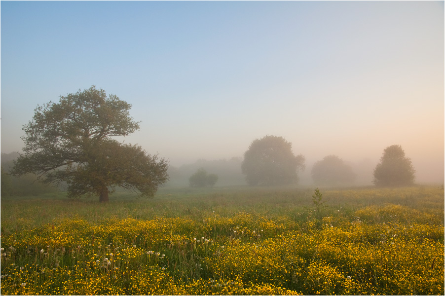 Unter den Kräutern nekoshennyh