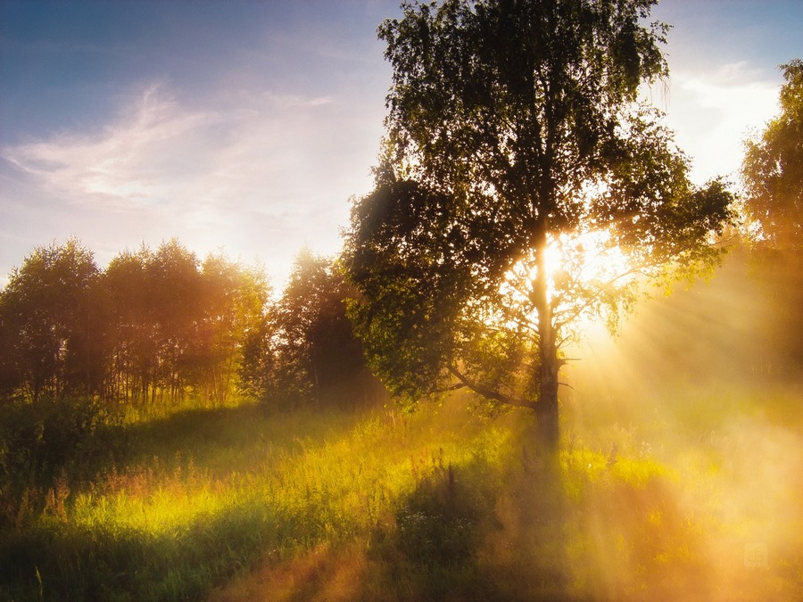 Das Einatmen der Morgen