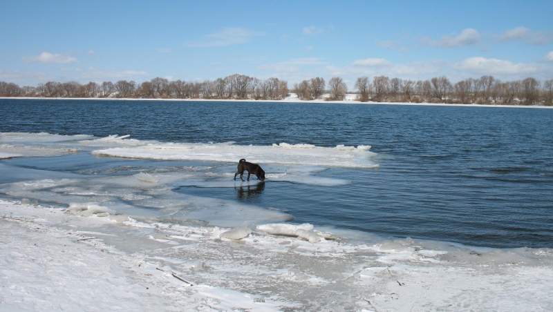 eine Reihe von "Oka views - 1"