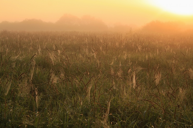 Morgen früh am Morgen