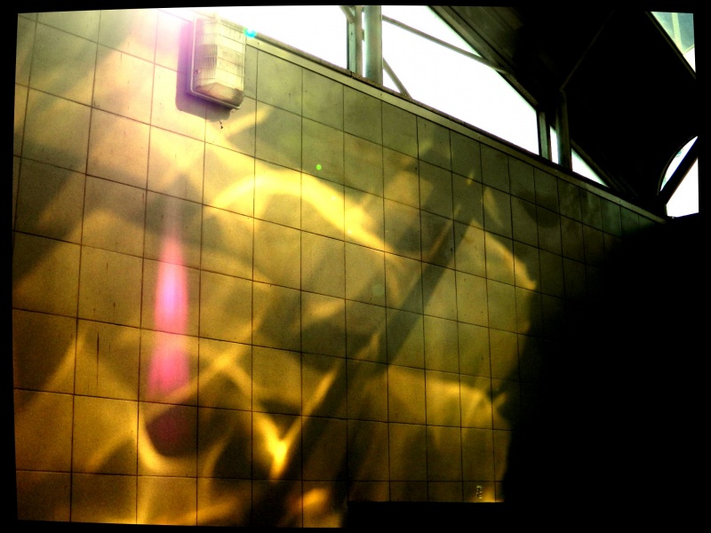 ein wenig Sonne im kalten Wasser