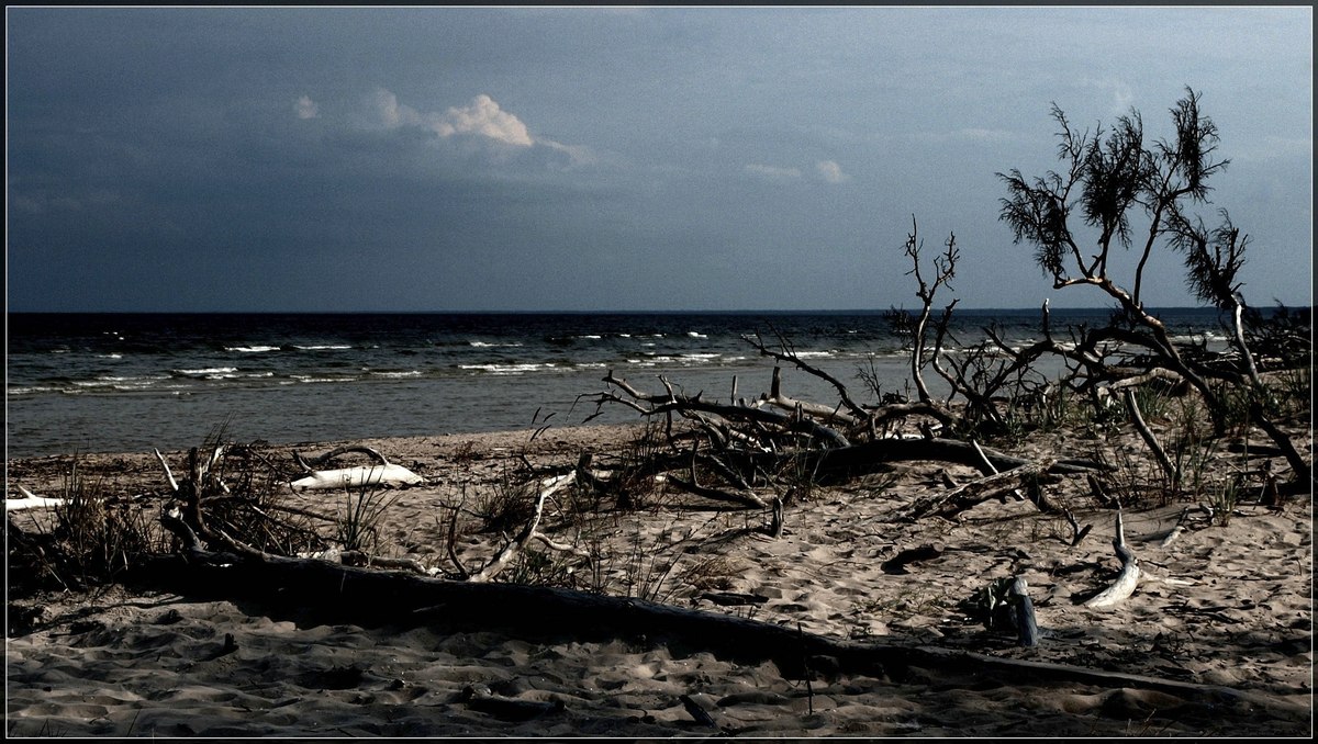 Das Ende der Geographie