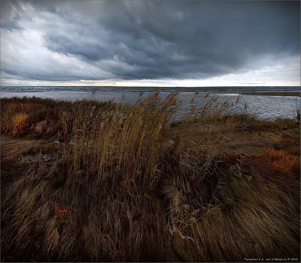 PRO schwül November Für VERKAUF MEIN ... 3