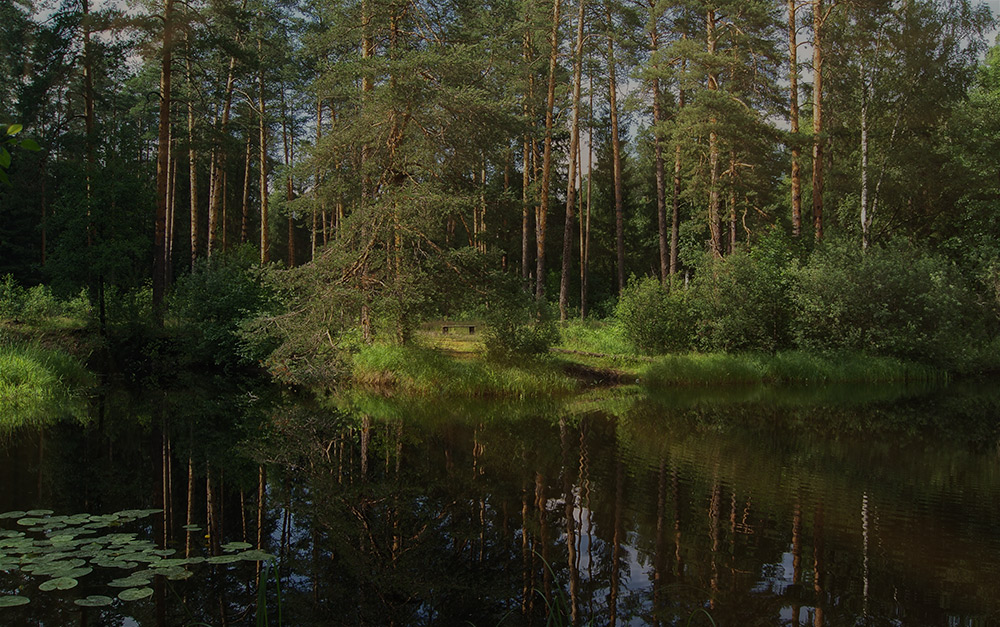 Muhtolovskie Sketches 2