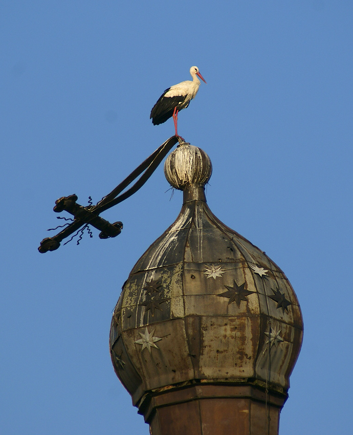 Wir glauben, hoffen, warten ...