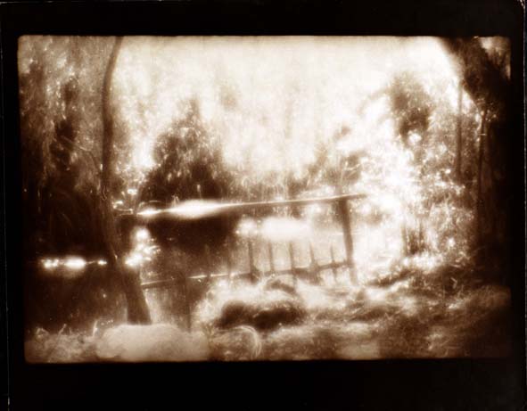 Momentaufnahme "Monokel" 1