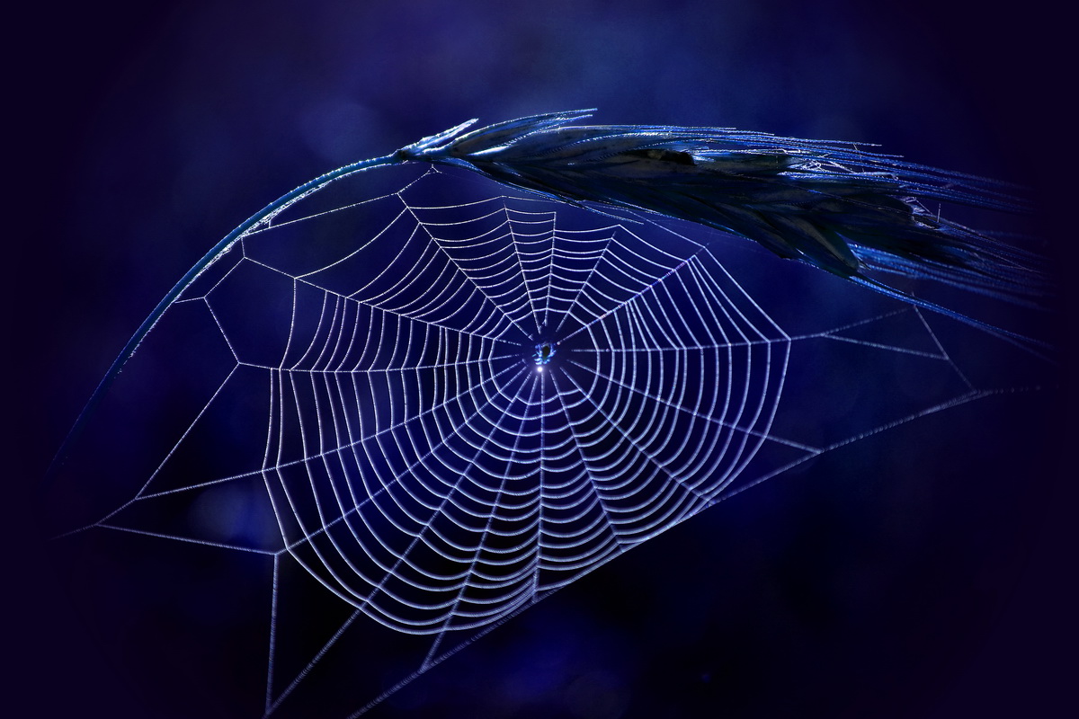 Gute Nacht mit einer Taschenlampe oder pauchek