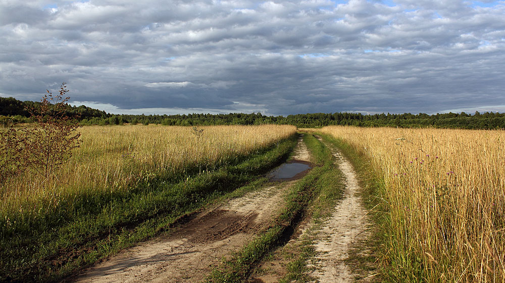 In dem Gebiet, Laufbahn ...