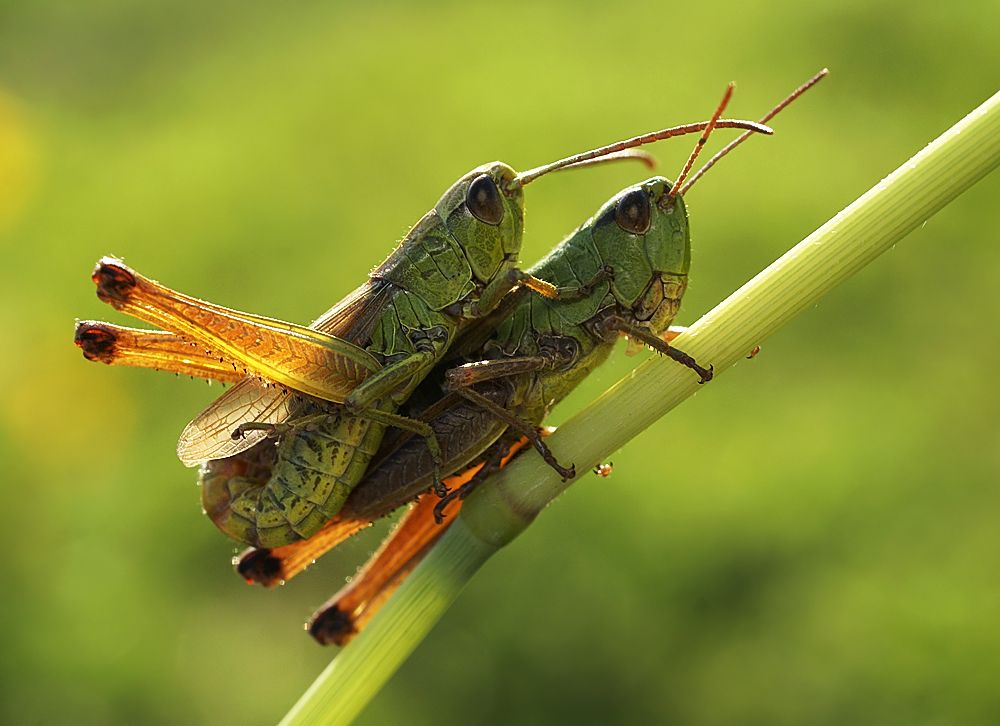 "Ich habe euch alle ..."