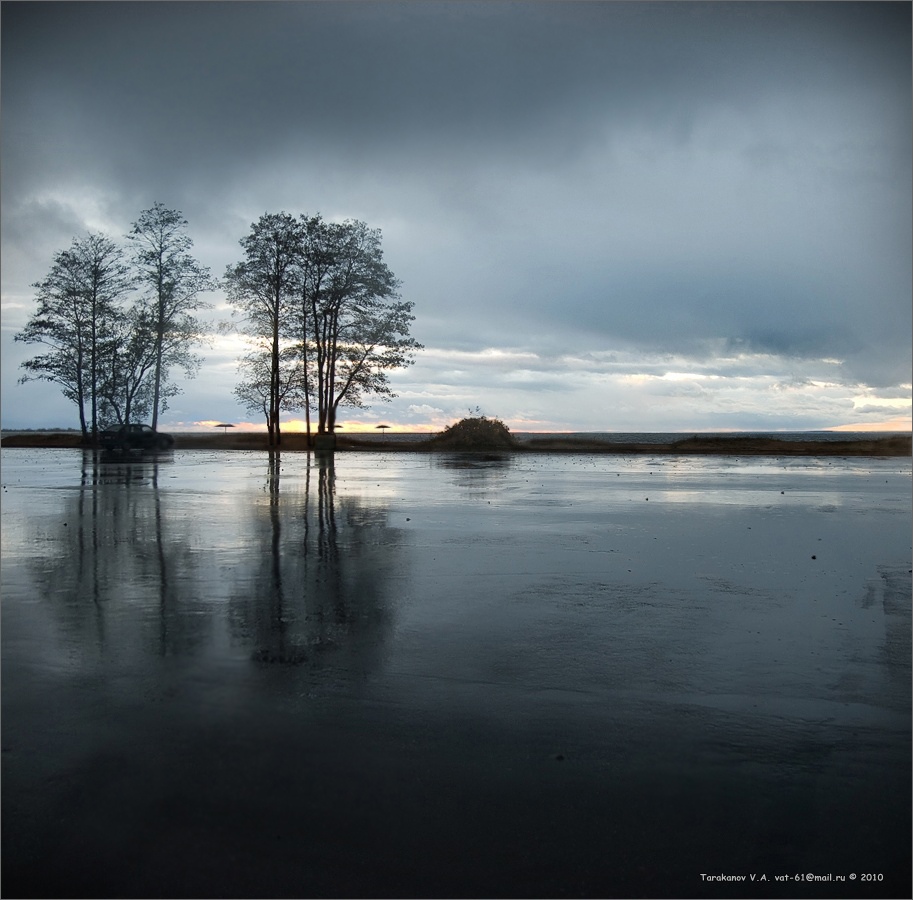 PRO schwül November Für VERKAUF MEIN ... 4
