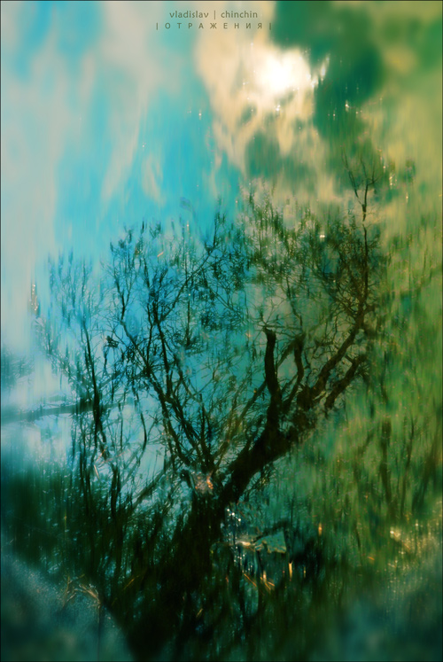 [ color reflection ]